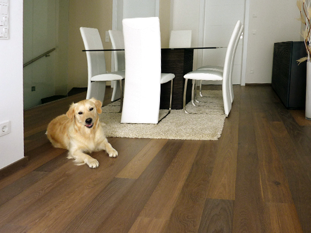 sol-et-style-projet-categorie-maisons-style-classique-parquet-brun-chien-chaises-blanches