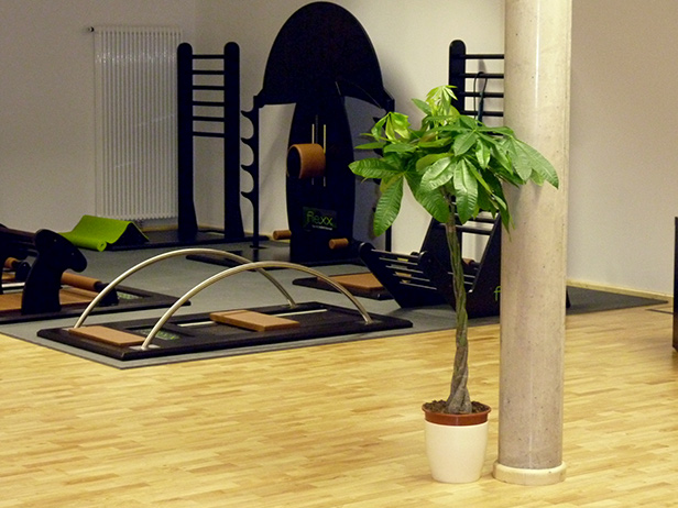 sol-et-style-projet-categorie-espaces-publics-salle-sport-plante-machines-noires